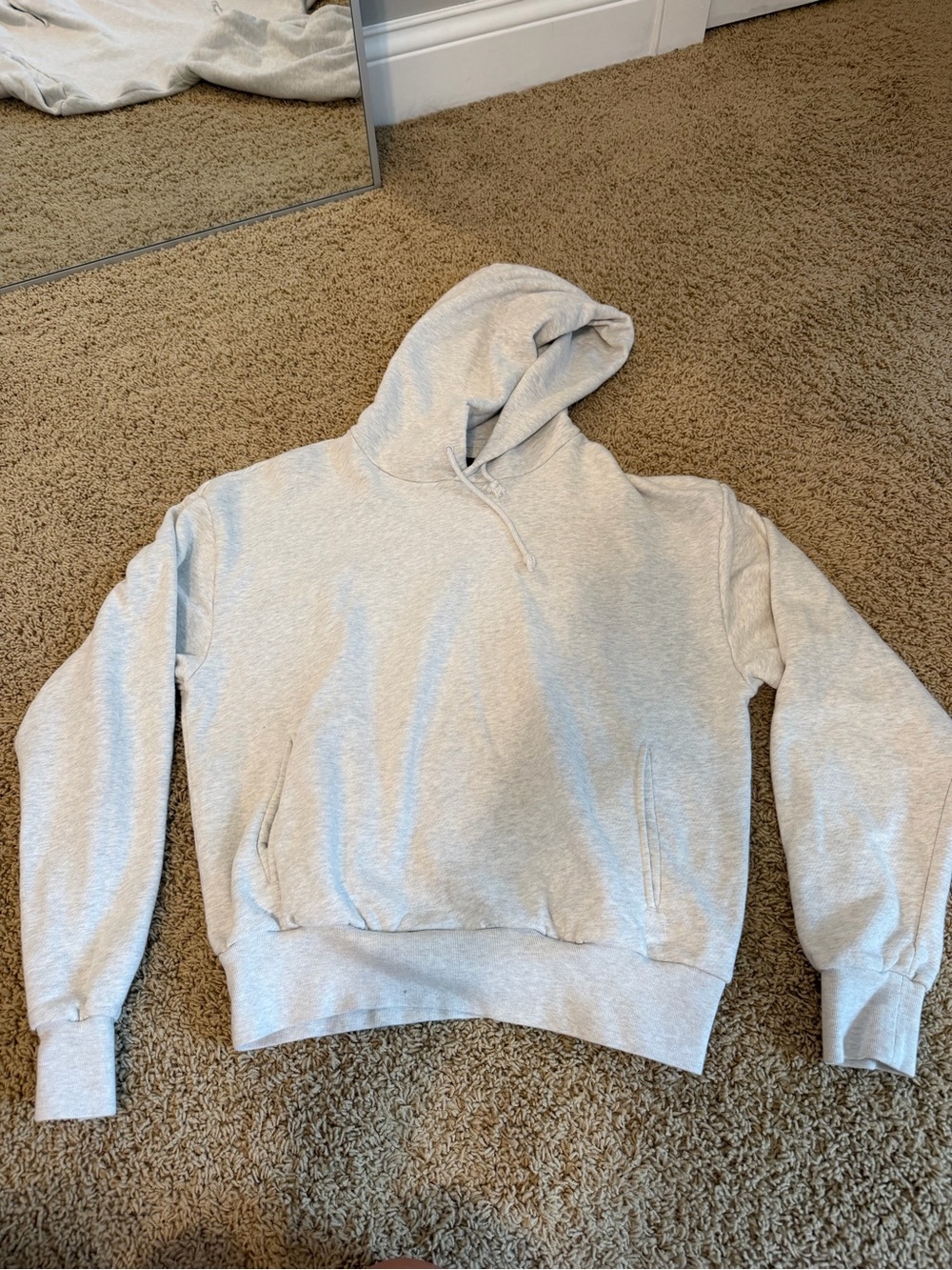 Aritzia Light Gray Hoodie Sweatshirt